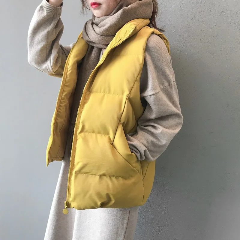 Зима безрукавка женская корейская версия жилет женский теплый жилет без рукавов дикий без рукавов воротник жилет жилет жилет зимний жилет