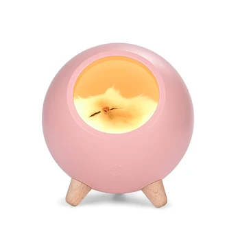 

HHONG Dimmable Lamp USB Rechargeable Bedroom Decorative LED Little Pet House Atmosphere Small Night Light