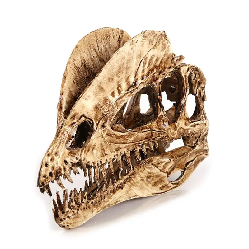 Top Grade Monolophosaurus Fossil Resin Dinosaur Skull Model Halloween Gifts Home Decoration-in