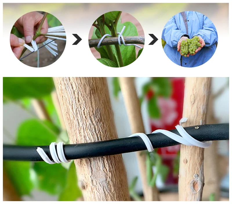 tiras de suporte de plantas, envoltório de