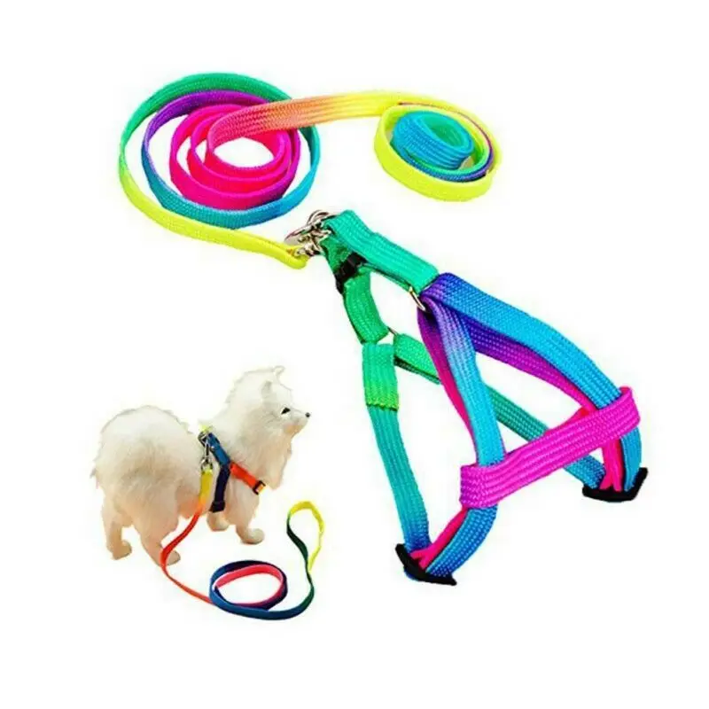 

Colorful Nylon Pet Dog Harness&Leash Set for Small Puppy Breeds Dogs Perfect for Daily Training Walking
