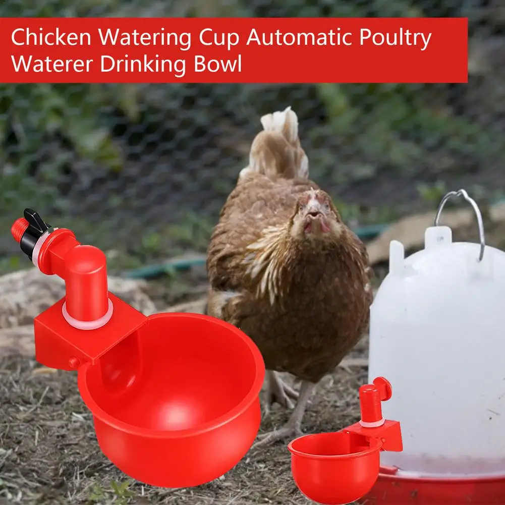 Automatic Chicken Water Cup