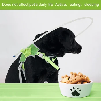 

Blind Dogs Pet Safe Harness Anti-collision Ring Luminous Pets Weak Color Guide Circle Collar Animal Blind Dog Guiding Device