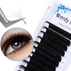 Wendy Lashes 10pcs Wholesale Eyelash Easy Fan Lash Extension Soft Faux Mink Natural Lash Russian Volume Fake Eyelashes Supplies 2