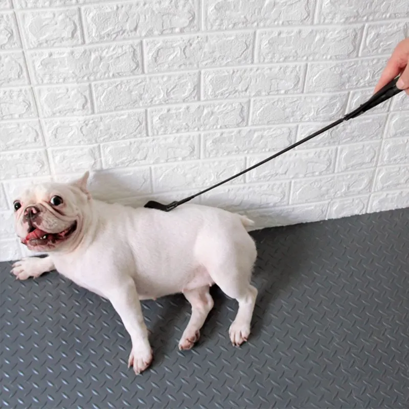 Тренировочная плеть для собак, тренировочная клюшка для домашних животных, популярное устройство для дрессировки собак, ручка для управления ведением домашних животных для крупных собак