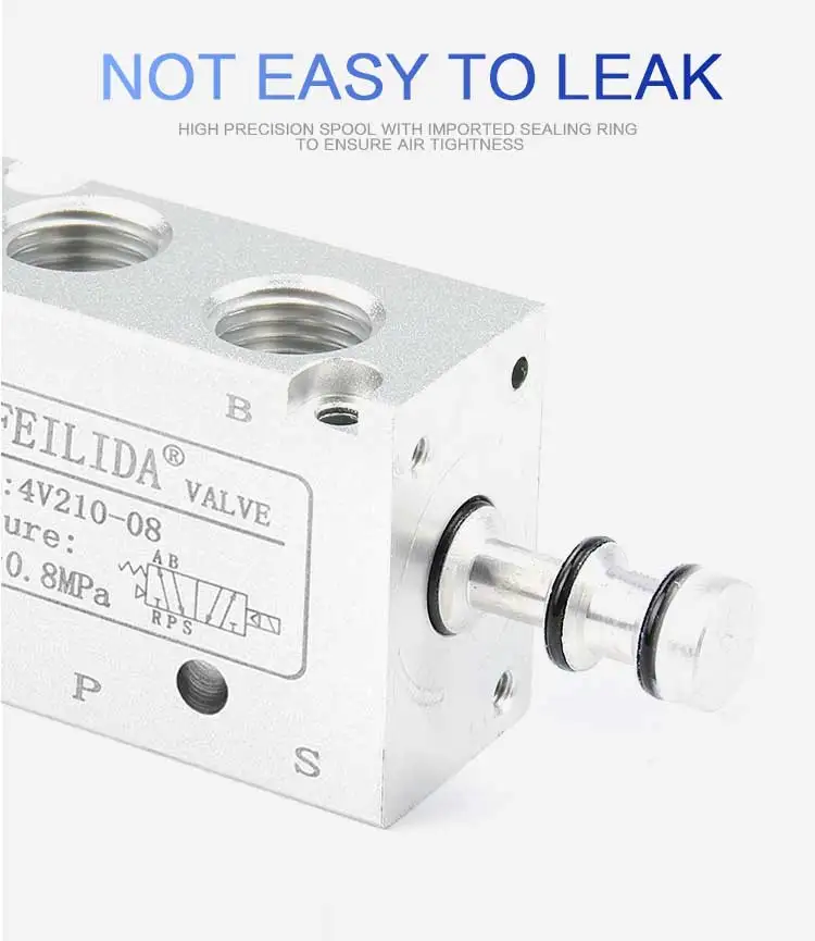 任侃侃小泰迪_05