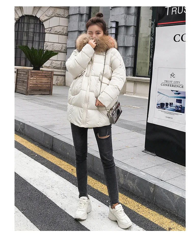 8998695158_1006637240