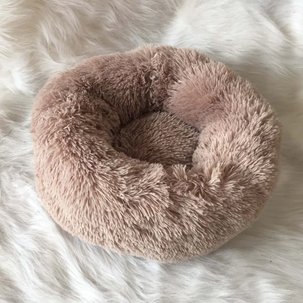 house for dog