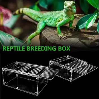 

Pet Reptile Breeding Box Through Insect Breeding Box Snake Spider Lizard Scorpion Amphibian Breeding Box Crawling Pet Breeding