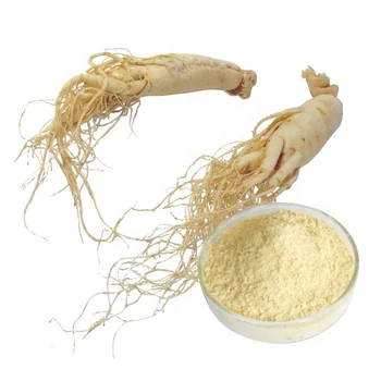 

80% Ginsenosides Panax ginseng extract,Organic ECOCERT Certification 1000g