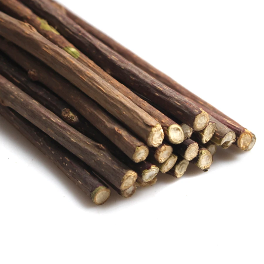 Cat Toy Natural Catnip Pet Cat Molar Toothpaste Stick Matatabi Actinidia Fruit Silvervine Cat Snacks Sticks Pet Cleaning Teeth