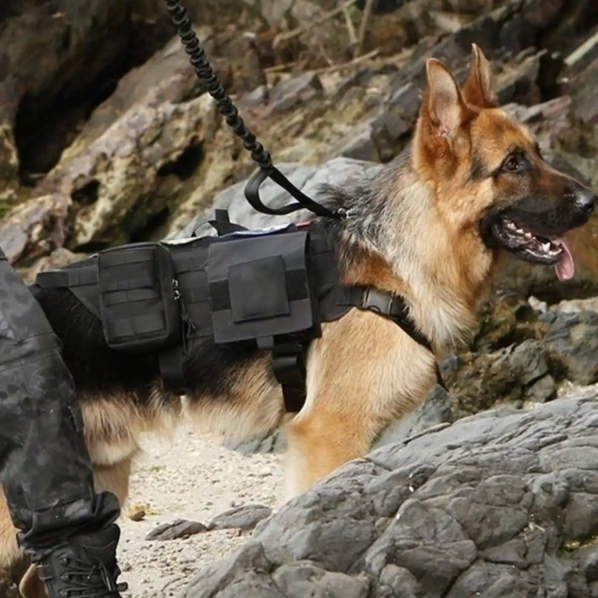 Adjustable Tactical Service Dog Vest Training Hunting Vest Nylon Army Tactical Military Patrol Dog Harness Hunting Vest