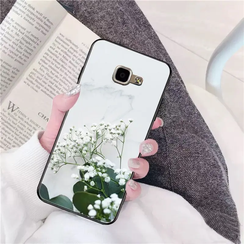 Beautiful flower Gypsophila