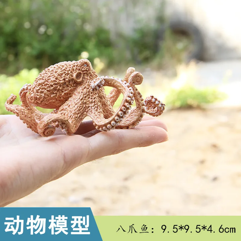 

Seabed Biological Model Octopus Oceans Animal Octopus shi ju Decoration Children CHILDREN'S Early Education Accessories