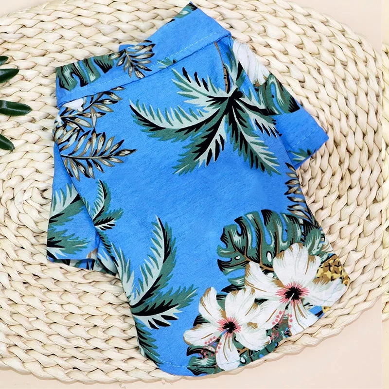 IMG_8284(20200418-212453)