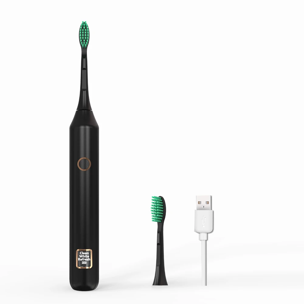 3 Mode Sonic Electric Toothbrush Intelligent LCD USB Rechargeable Waterproo Ultrasonic Automatic Tooth Brush Head Teeth Cleaning - Цвет: Black with 2 heads