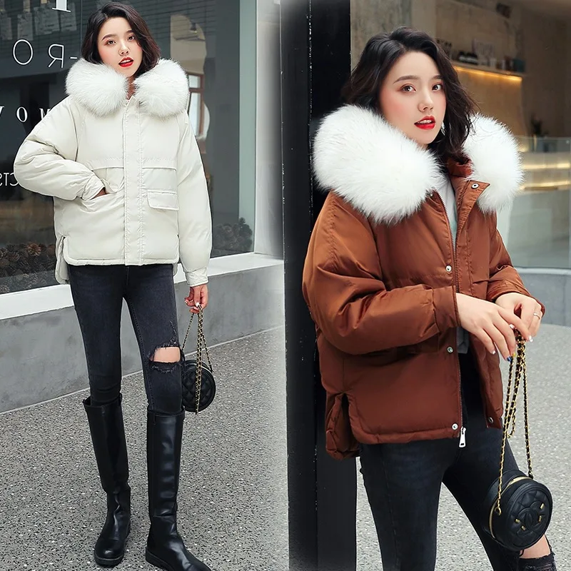 

Cotton Coat Women's Short Students down Coat INS Versatile Fashion Coat Winter INS Cotton-padded Clothes Korean-style Loose Wint