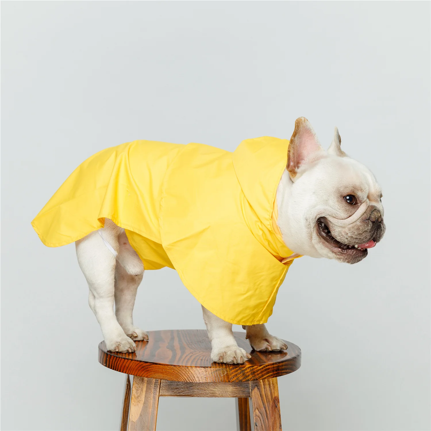 cães impermeáveis capa de chuva para animais