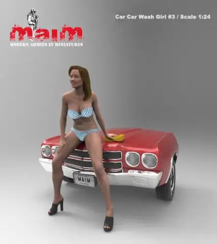 

1/24 Resin Model Building Kit Figure Car wash woman (no car)