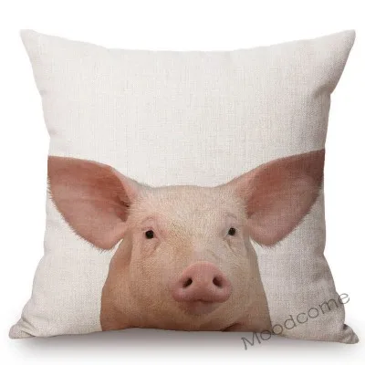 conew_t215 (5) 副本