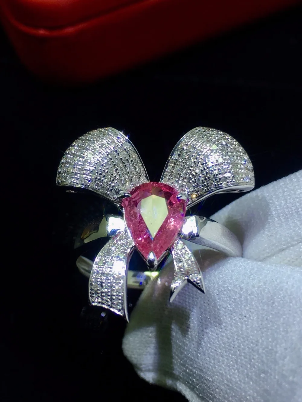 IMG_2661