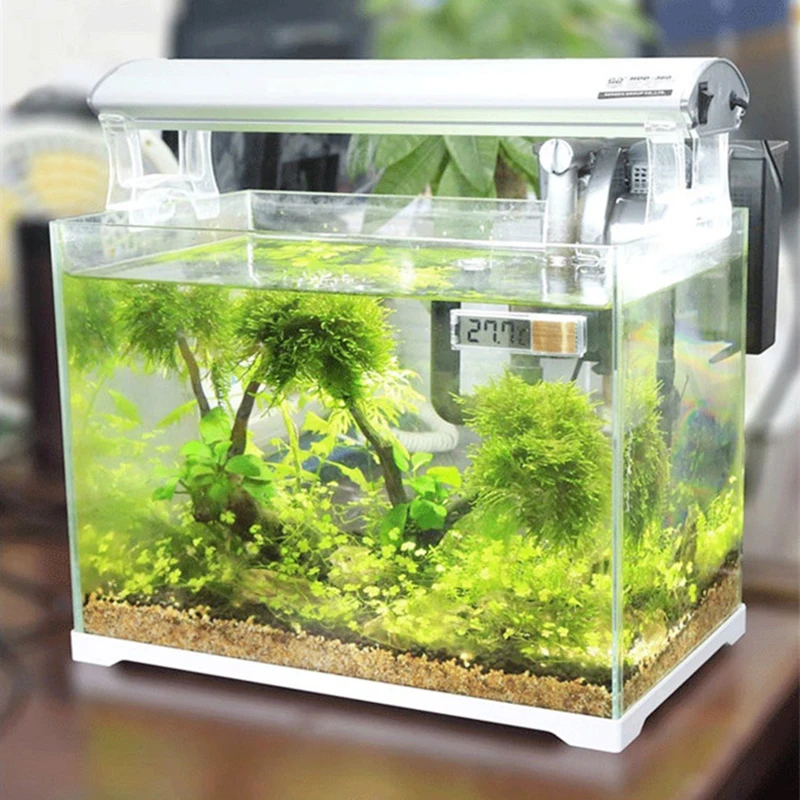 O1CN01ebSxqo1fZCf2FgSrY_!!267524020