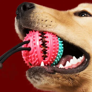 

Newest 2020 Pet Rubber Ball Dog Chew Toy With Leak Food Function Interactive With Bell Pet Exercise Squeaky Toy
