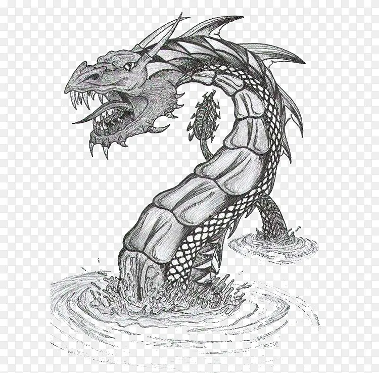 海怪黑白素描画png图片素材免费下载 图片编号qazzvoly Pngbag素材网