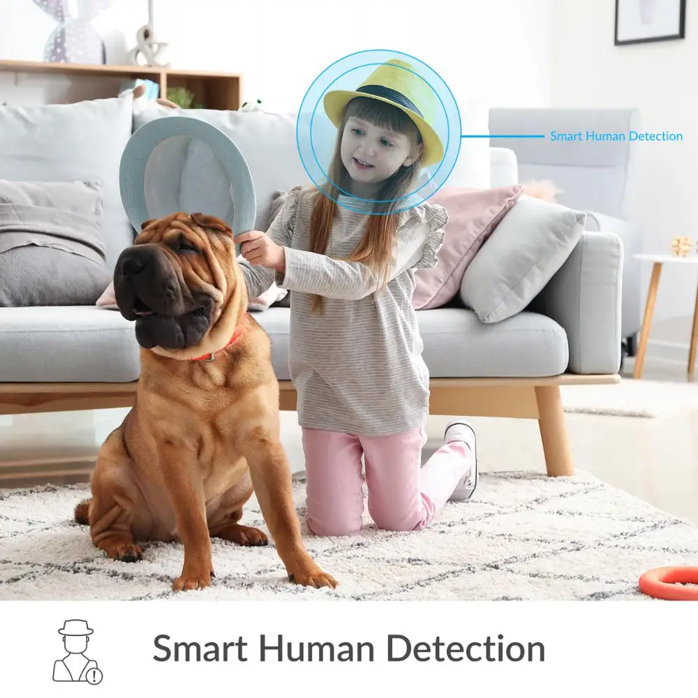 YI Home 1080p Camera 2.4G Wifi Indoor ip Camera AI Human detection Night vision Activity alerts Cameras for home/Cats/pets/Cloud