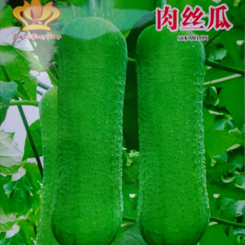 

Happy garden series loofah sponge gourd seed meat about 8pcs