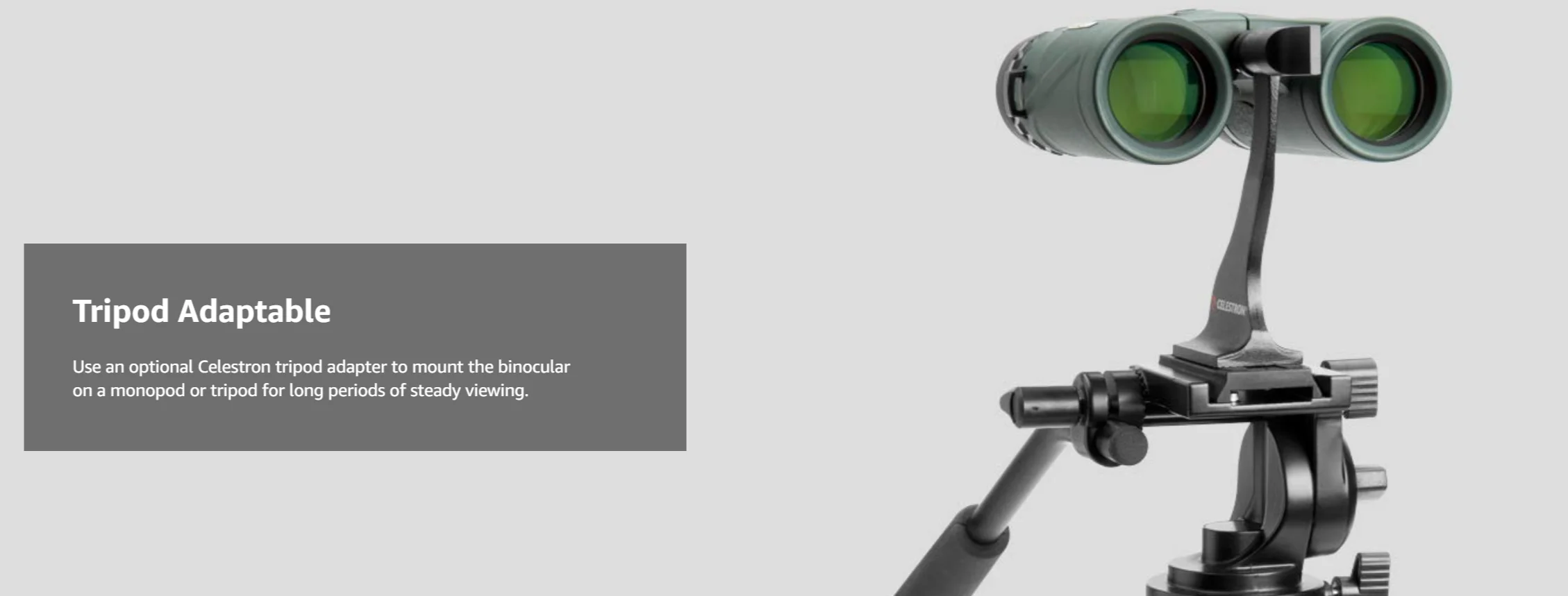 Бинокль Celestron 71330 Nature DX 8x32(зеленый