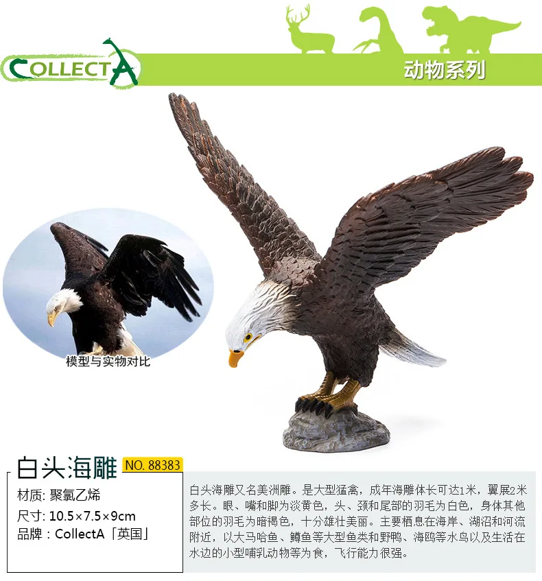 Collecta I You He Высококачественная имитация леса с рисунком лошади Слон Олень Львы niu Леопард модель статическая модель оптом