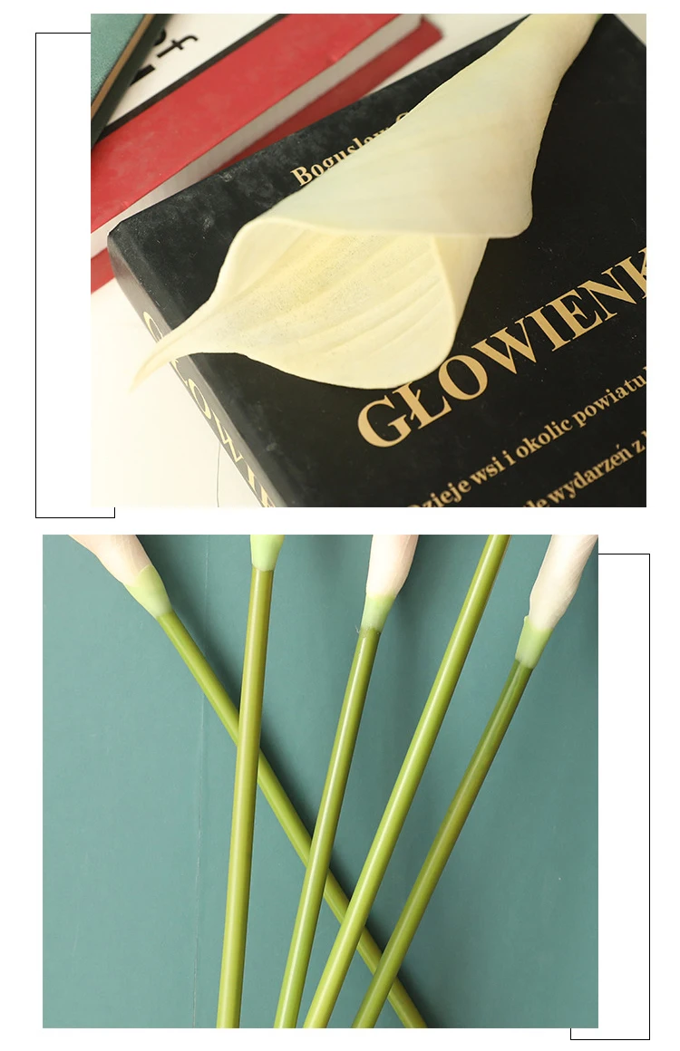 13858456240_1245478559