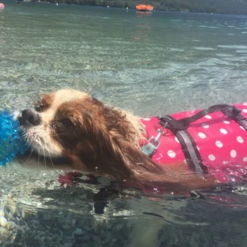 

2019 Pet Dog Life Jacket Safety Clothes Life Vest Collar Harness Saver Pet Dog Swimming Preserver Clothes Summer Swimwear