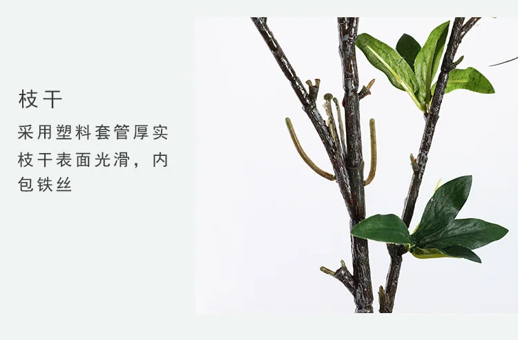 未标题-1_09.jpg
