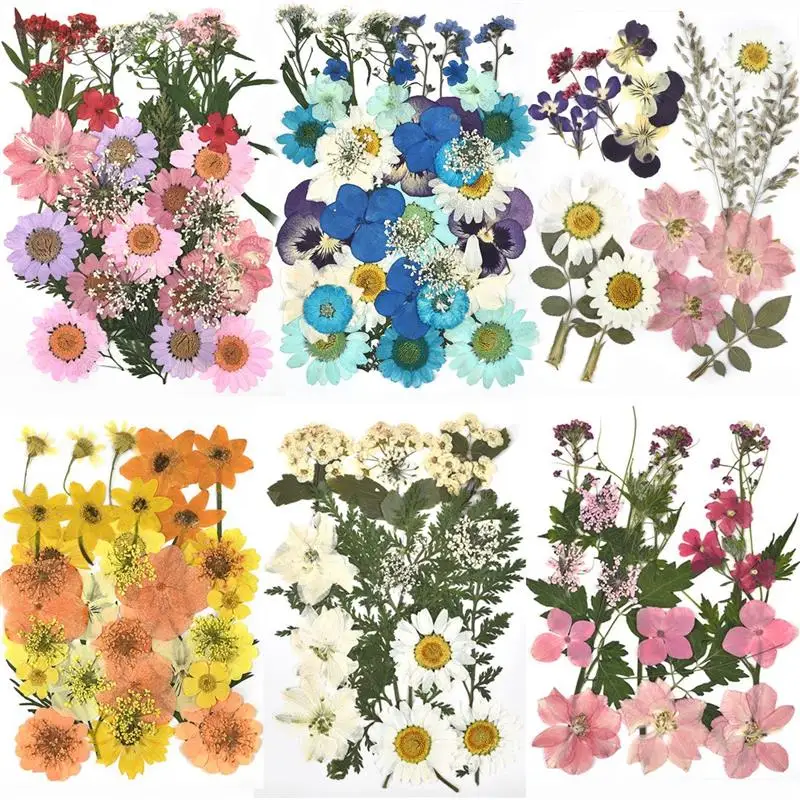 Dried Flowers Beauty-Decal Filling-Jewelry-Decoration Epoxy-Resin Dry Natural for DIY