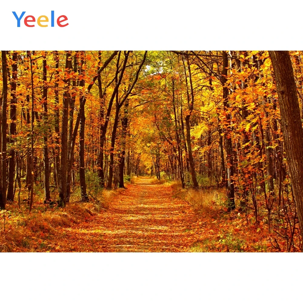 Фотофон для фотосъемки с осенними лесными листьями природными пейзажами