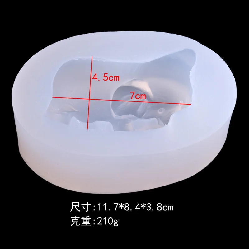 9229342608_735426216