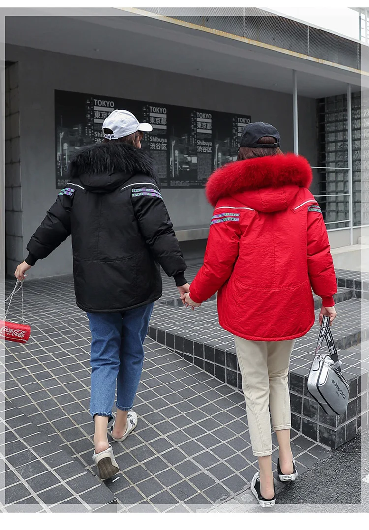 Photo Shoot Autumn And Winter New Style down Jacket Cotton-padded Clothes Women's Korean-style Short Best Friend-Cotton-pad