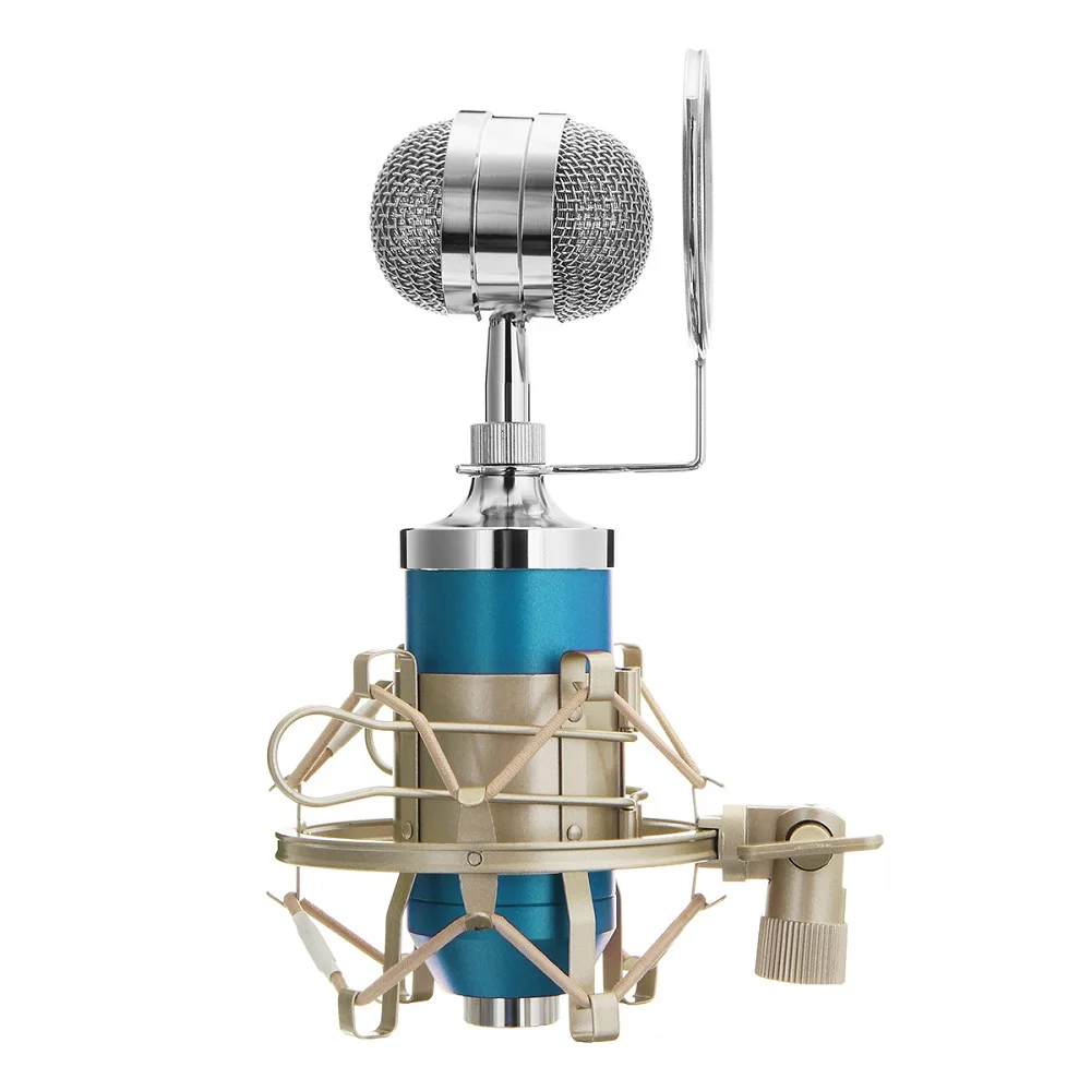 Professional Condenser Microphone Kit: Microphone