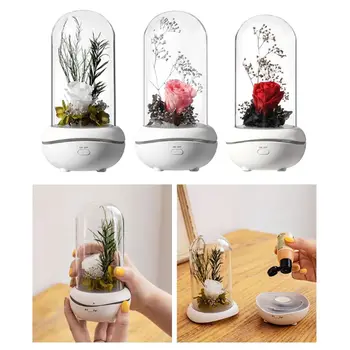 

Eternal Rose Aromatherapy Diffuser Essential Oil Aroma Humidifiers Night Light