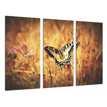 

Butterfly white and black nature photo print on wood, modern picture decorative 26596