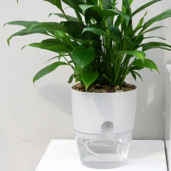 

Transparent Flower Pot Creative Double-Layer Water Storage Automatic Absorbent Green Dill Flower Pot