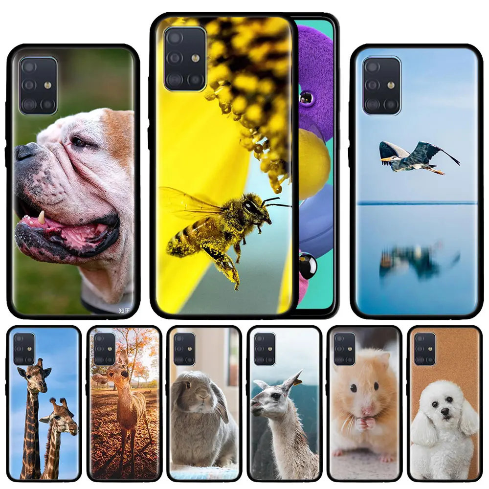 Чехол с изображением животных на земле для Samsung Galaxy A51 A71 M31 A41 A31 A11 A01 M51 M21 M11 M40