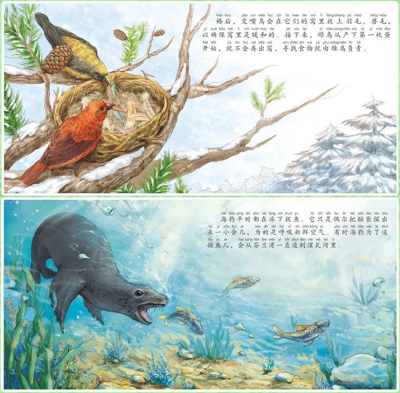 Хуа Ян Вэнь Хуа лесная книга с картинками для детей подлинные книги для детей, детей, студентов