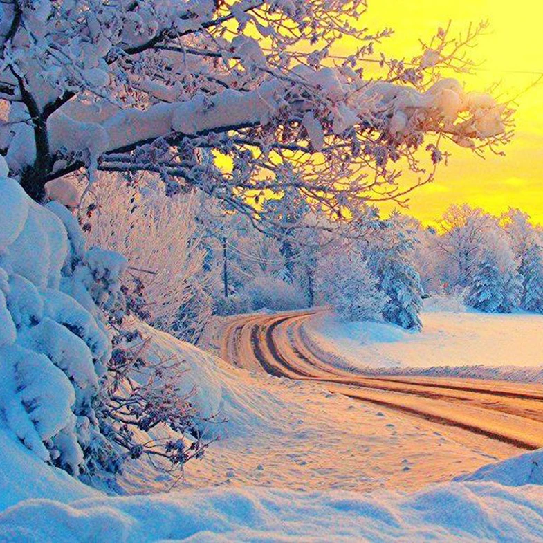 

Snowing style Embroidery Counted Cross Stitch Kits Needlework - Crafts 14 ct DMC Color DIY Arts Handmade Decor A4310