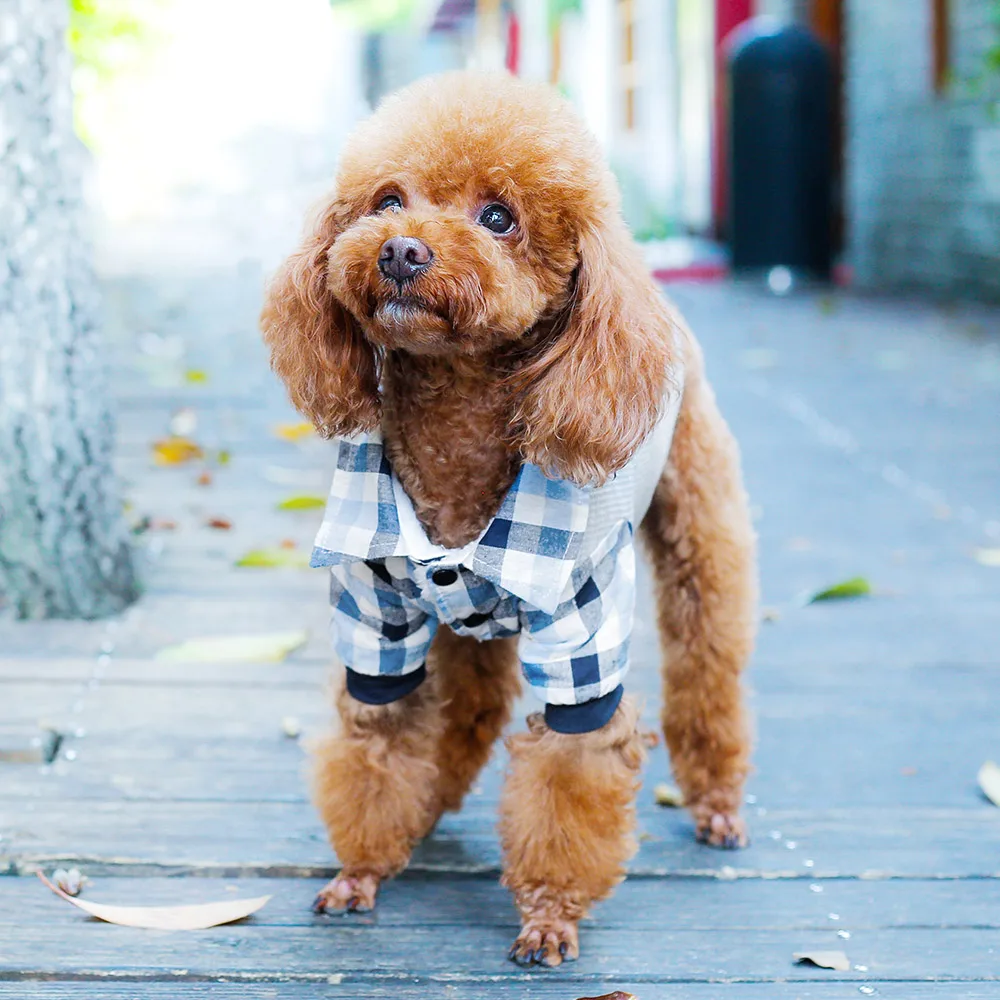 

Creative Stripe Dog Shirt Fashion Dress Cute Clothes Mini Dog Shirts for Dogs Jacket Grils Camisetas Perro Pet Clothes YY50DS