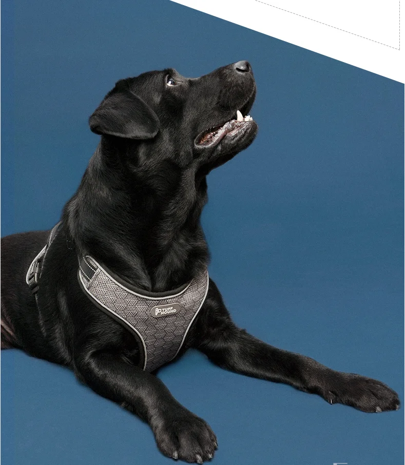 TUFF HOUND, двойная воздушная сетка Drytek, жгут, яркие цвета, не тянет, собачий жгут, дышащая сетка, костюм для маленьких, средних и больших собак