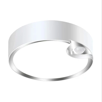 

Motion Sensor Ceiling Lights Battery Powered Indoor / Outdoor LED Warm Light Ceiling Lights for Corridor Laundry Room