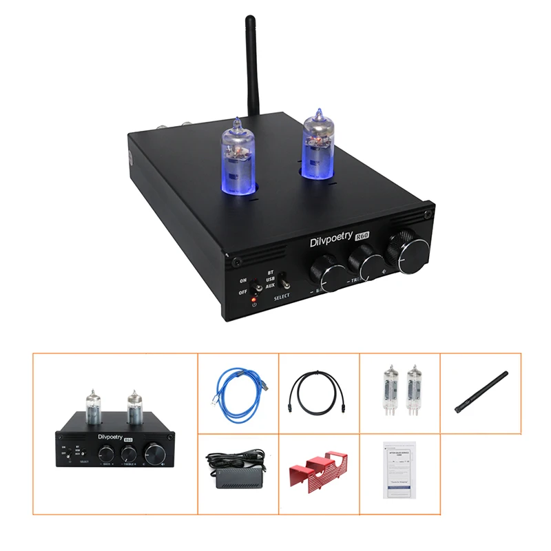 Dilvpoetry-R60 Digital power amplifier 2.0 tube